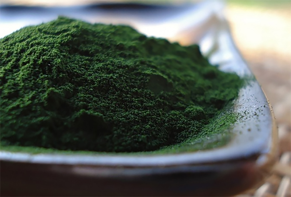 Hack-Spirulina-Nutrition