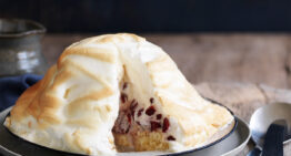 Microwave Bombe Alaska Christmas Recipe