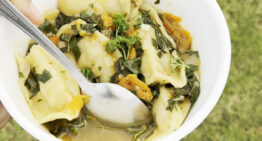 Tilly’s Tasty Dumpling Soup